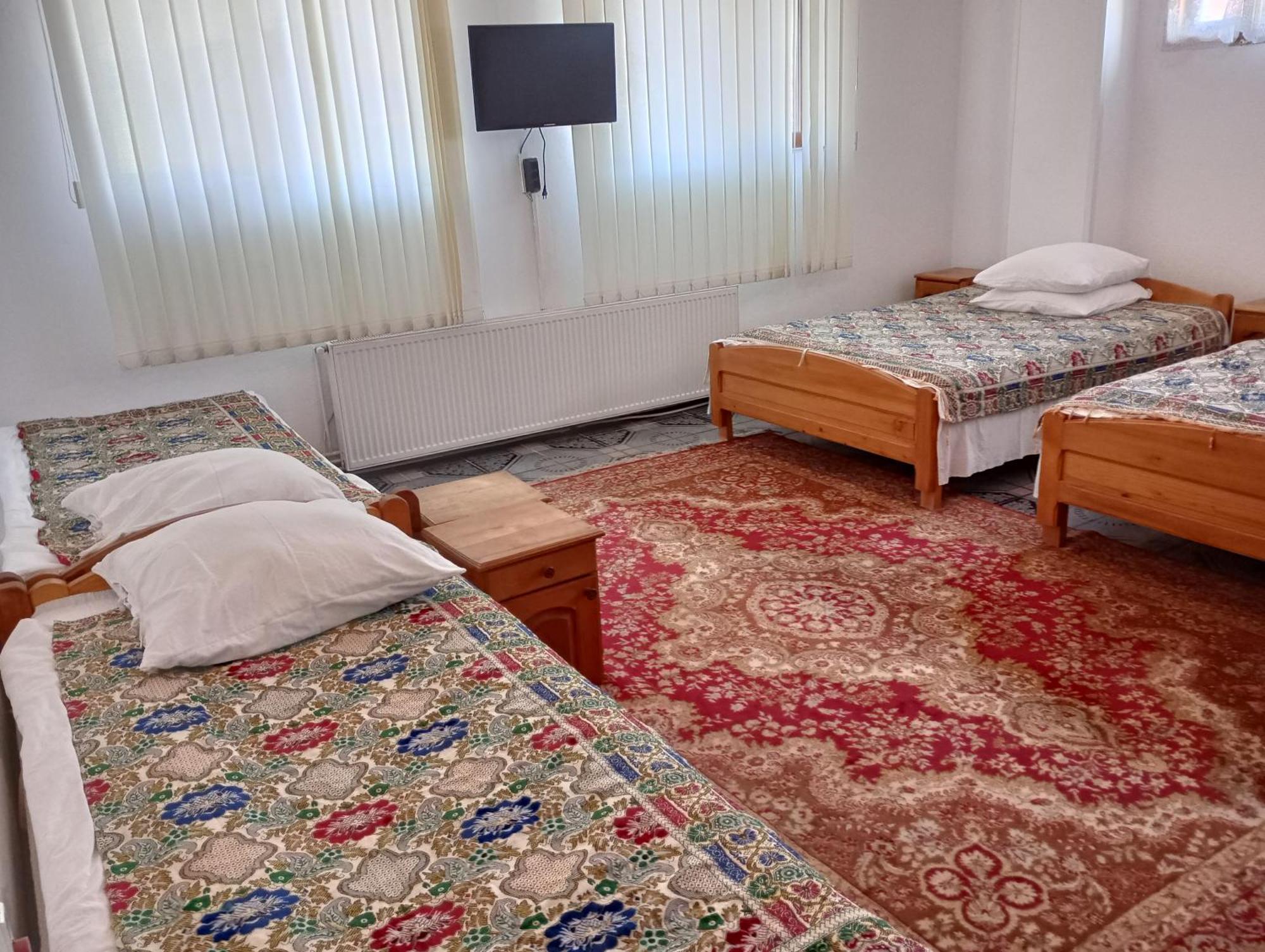 Pensiunea Irina 1 Si 2 Zărneşti 外观 照片
