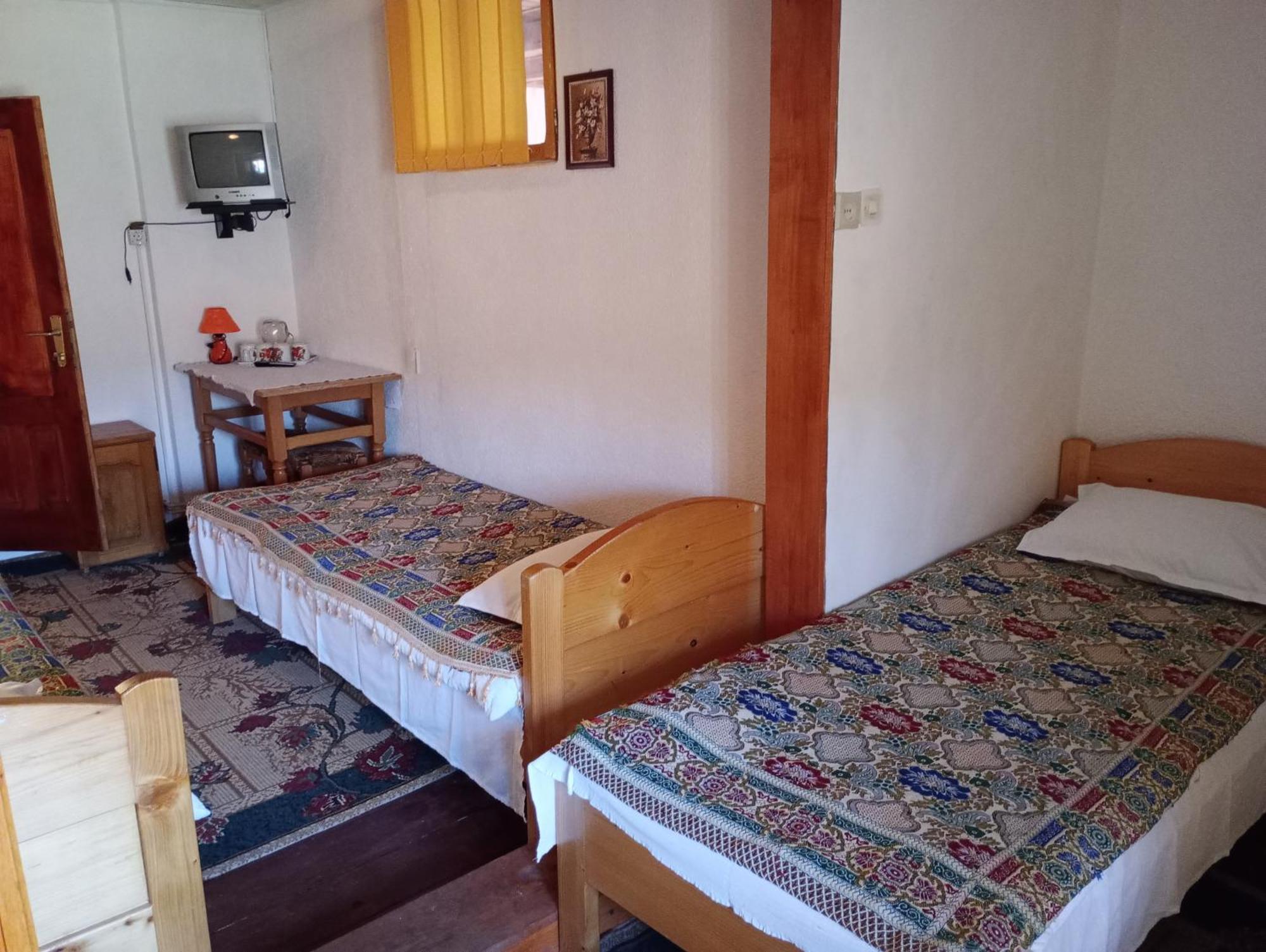 Pensiunea Irina 1 Si 2 Zărneşti 外观 照片