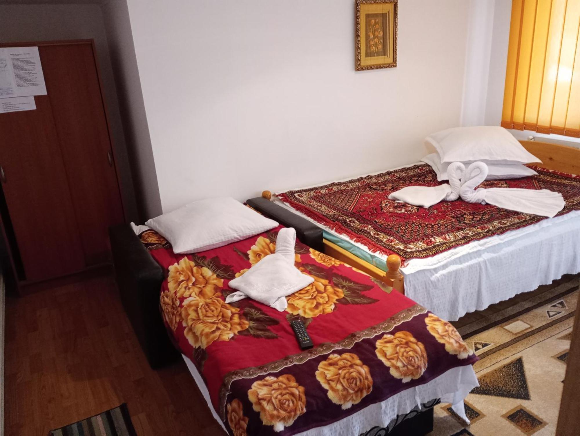 Pensiunea Irina 1 Si 2 Zărneşti 外观 照片