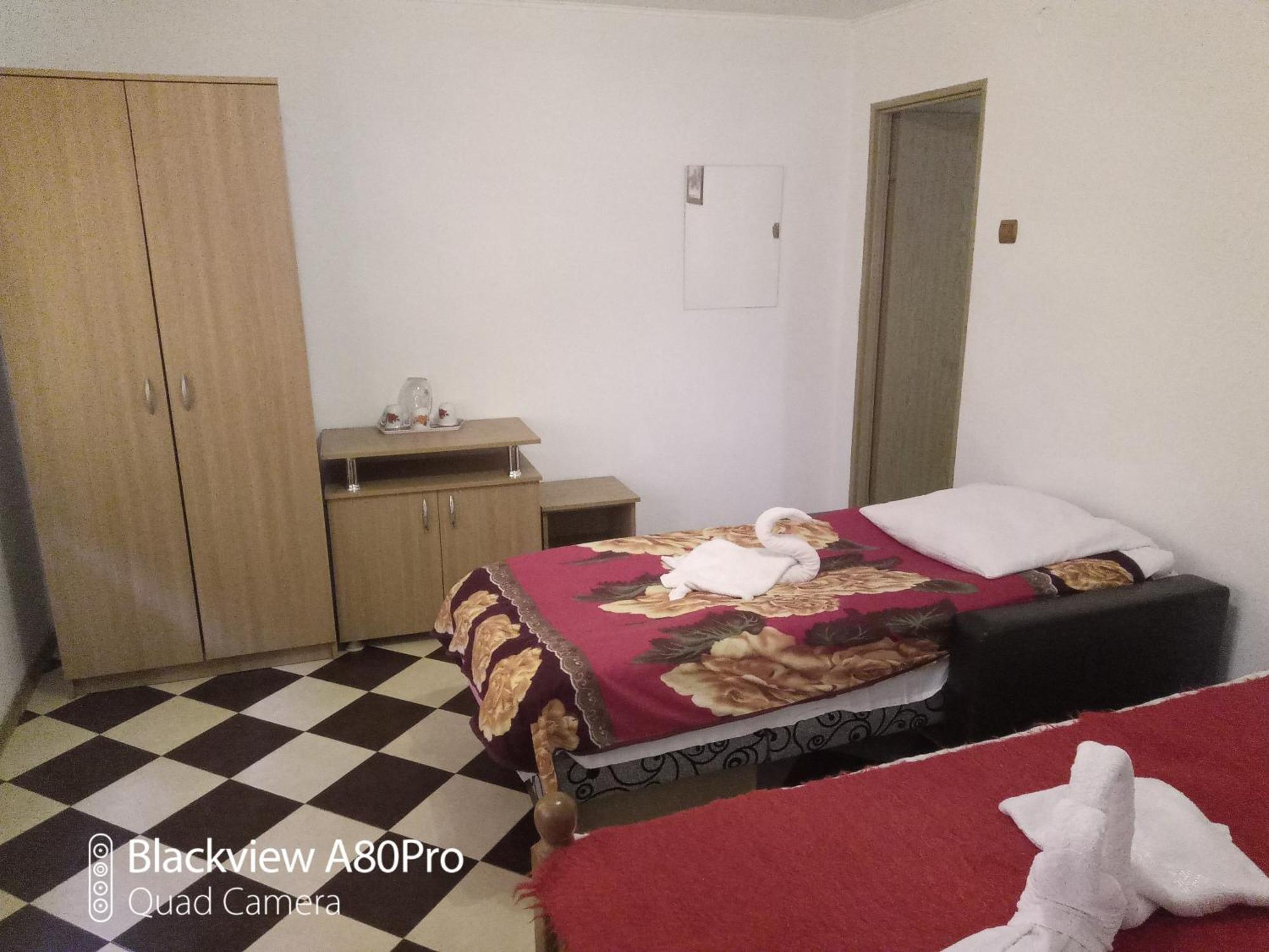Pensiunea Irina 1 Si 2 Zărneşti 外观 照片