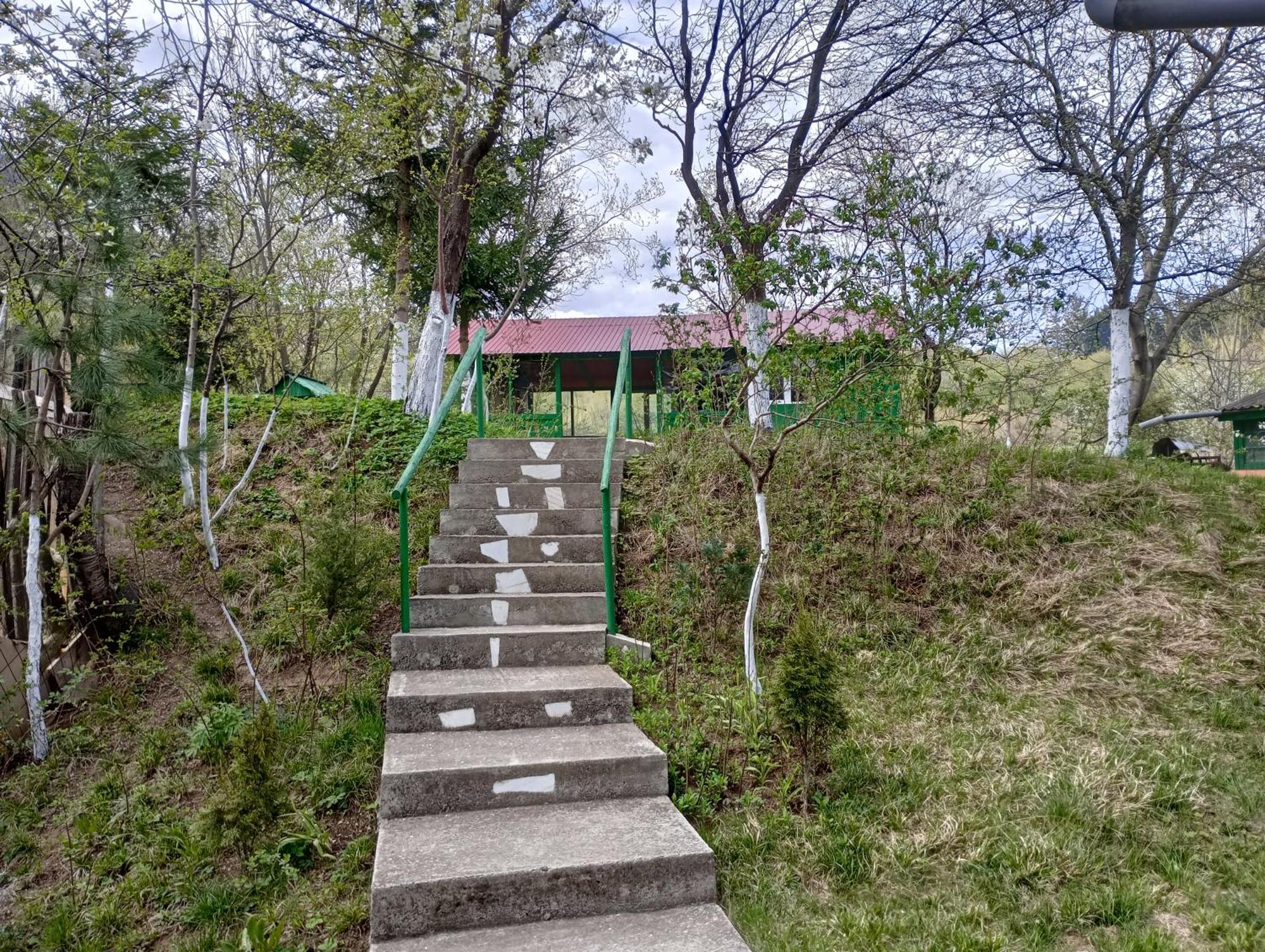 Pensiunea Irina 1 Si 2 Zărneşti 外观 照片