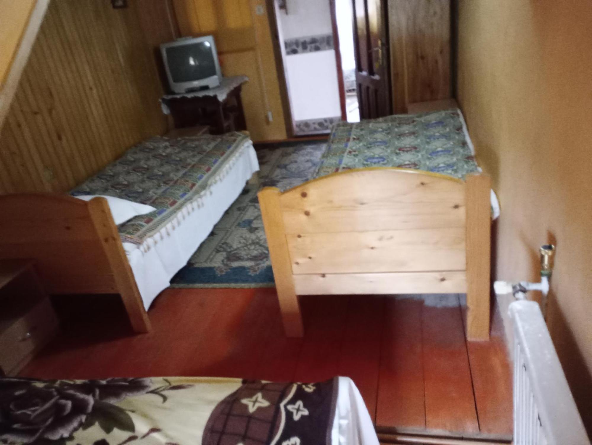 Pensiunea Irina 1 Si 2 Zărneşti 外观 照片