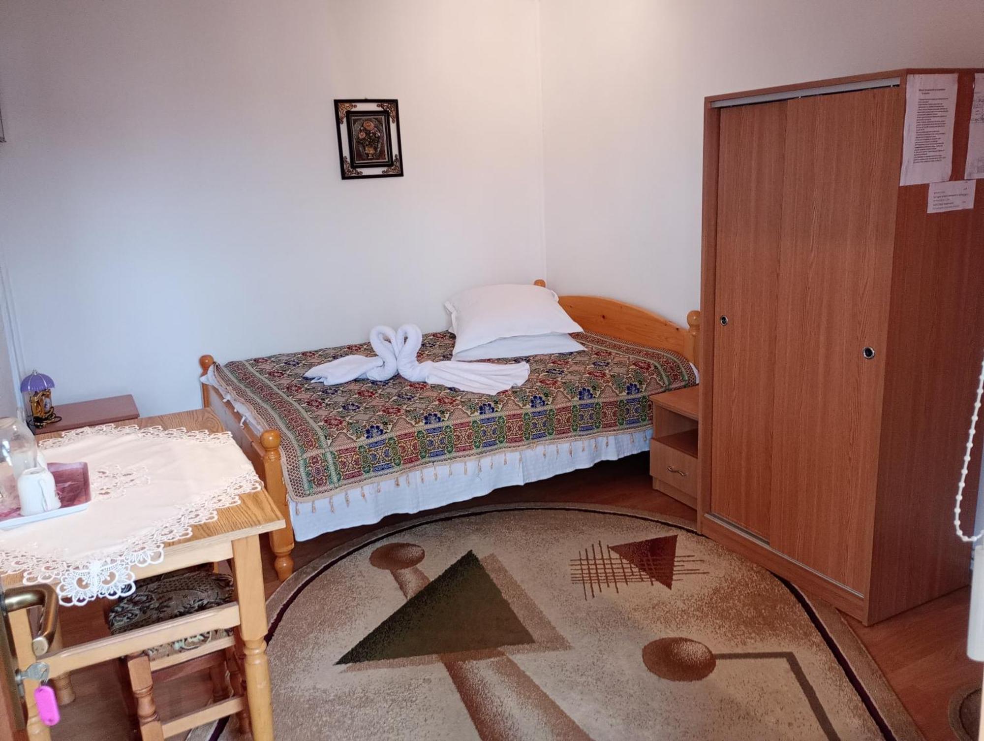 Pensiunea Irina 1 Si 2 Zărneşti 外观 照片