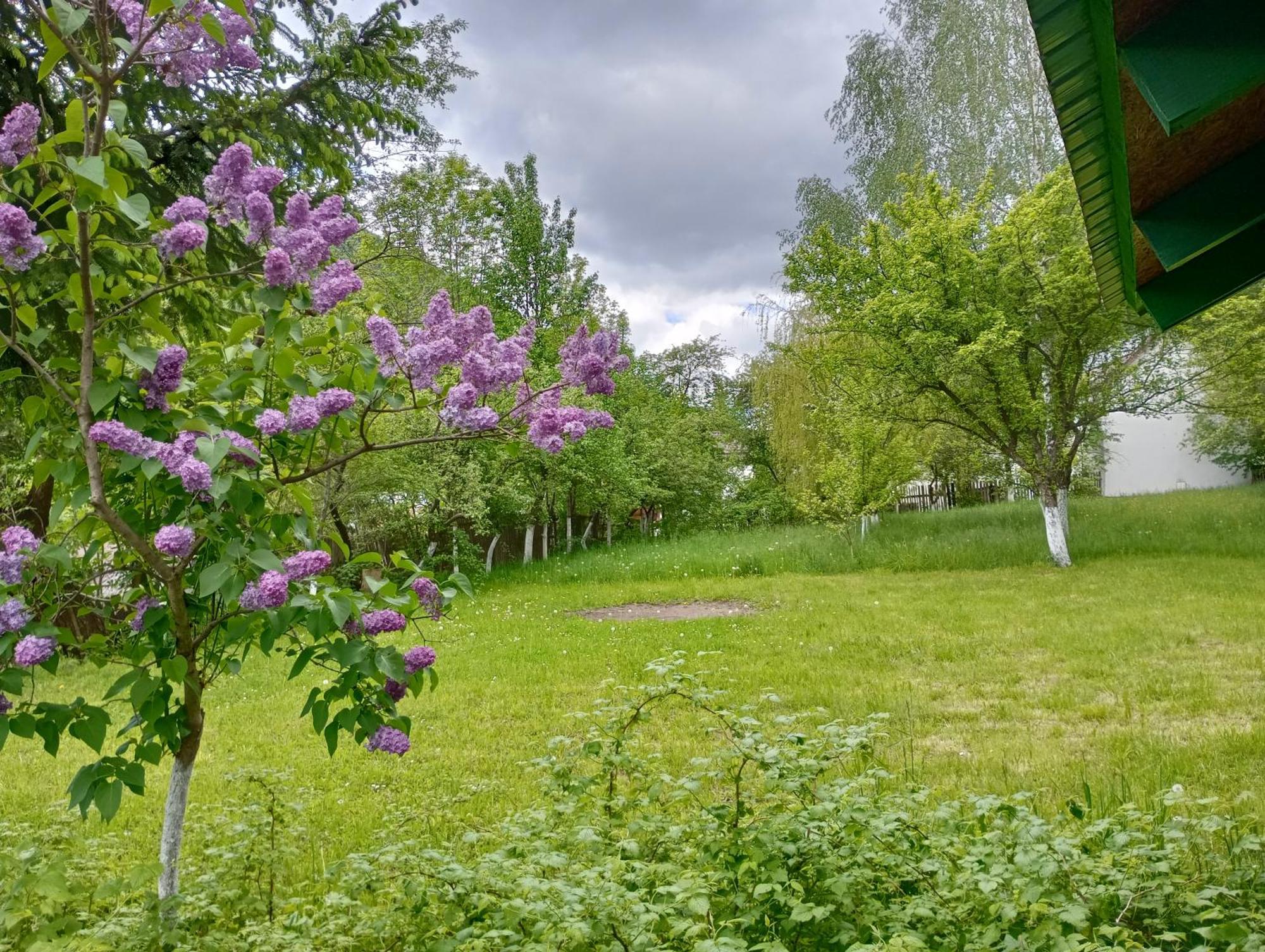 Pensiunea Irina 1 Si 2 Zărneşti 外观 照片