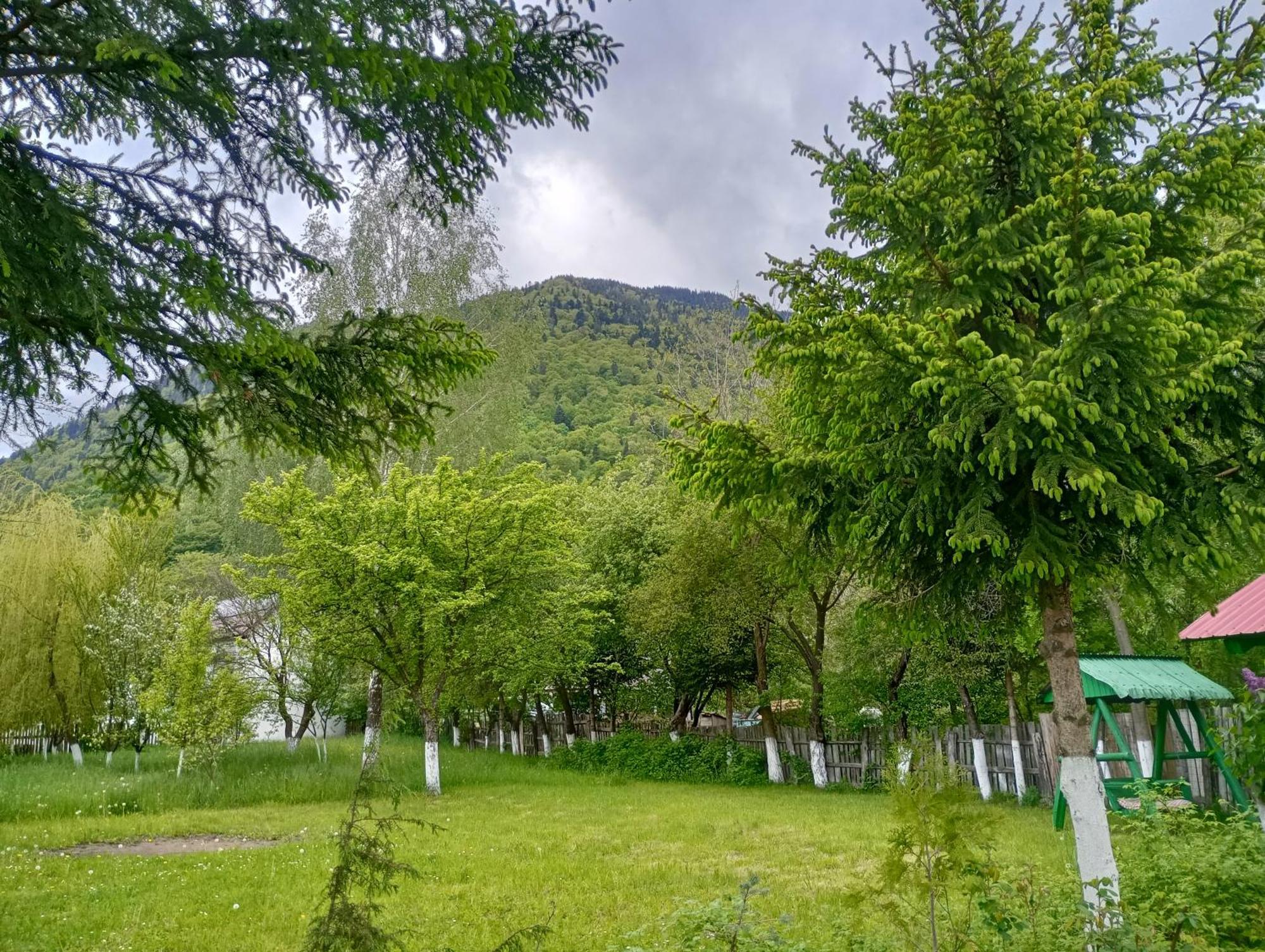Pensiunea Irina 1 Si 2 Zărneşti 外观 照片